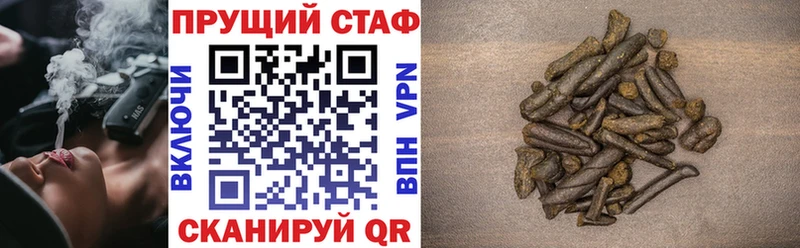 A PVP Белокуриха