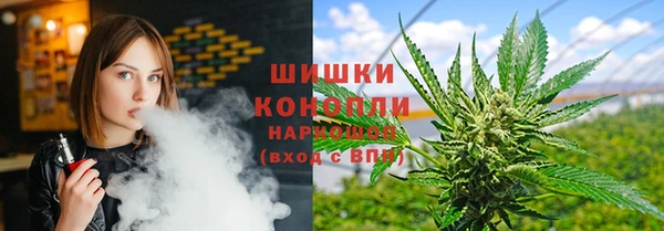 гидропоника Нестеровская